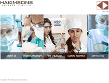 Tablet Screenshot of hakimsonsgroup.com